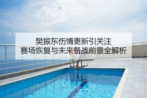 樊振东伤情更新引关注 赛场恢复与未来备战前景全解析